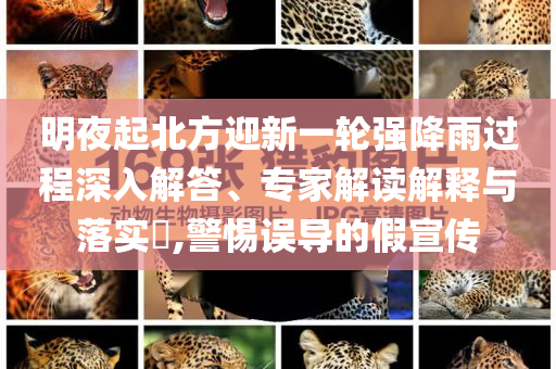 雷軍六一兒童節(jié)曬童年照片和嚴(yán)防消費(fèi)陷阱,預(yù)防剖析、專家解析解釋與落實(shí)