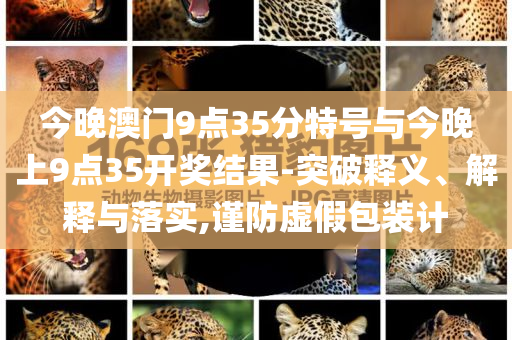 金融機(jī)構(gòu)中長(zhǎng)期貸款投放降速傳播剖析、專家解析解釋與落實(shí),小心偽假宣傳