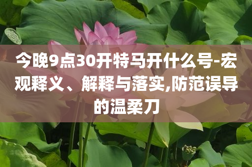 狗狗為報答店主送剛出生幼崽標準分析、專家解讀解釋與落實,謹防虛假包裝