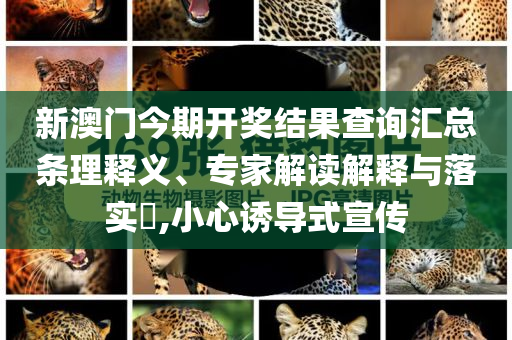 官方調(diào)查男子開鑿奧特曼石窟,謹防虛假美化陷阱-改進解答、專家解讀解釋與落實?