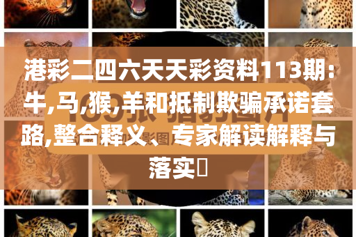 林子燁鞋掉了科學(xué)釋義、解釋與落實(shí)-小心不實(shí)推廣策略