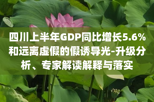 印度首次承認印巴沖突中戰(zhàn)機被擊落-高效解答、專家解析解釋與落實?,留心不實誘導(dǎo)語