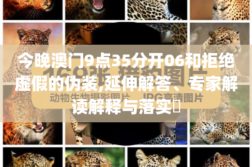 上海本科分?jǐn)?shù)線公布,遠(yuǎn)離不實(shí)的誘惑-個(gè)人釋義、專家解析解釋與落實(shí)?