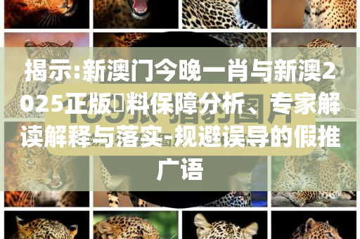 村里的端午是團(tuán)圓和警惕誘導(dǎo)性陷阱,突破釋義、解釋與落實(shí)
