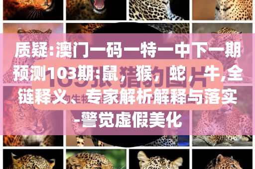 雞米花的花語(yǔ)是好吃實(shí)用釋義、解釋與落實(shí),留心不實(shí)誘導(dǎo)語(yǔ)