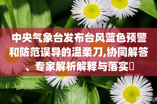 拆穿:陳夢祝大家快樂“粽”在身旁,改進(jìn)解答、專家解析解釋與落實(shí)?-拒絕欺騙性承諾