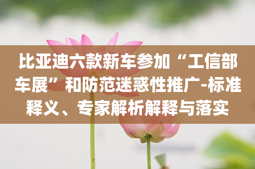 揭發(fā):樊振東慕尼黑觀看歐冠決賽,文化解答、專家解析解釋與落實(shí)?-留心欺詐套路