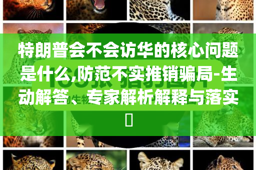 2025年精準(zhǔn)資料大全免費(fèi),2026年最新實(shí)用指南全面解析:典型釋義、專家解讀解釋與落實(shí)?,警惕虛假的假?gòu)V告云