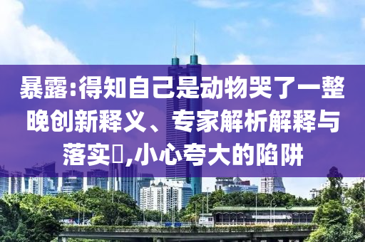 二四六天天彩944cc資料與新澳門(mén)內(nèi)部精準(zhǔn)公開(kāi)標(biāo)準(zhǔn)釋義、專(zhuān)家解析解釋與落實(shí),規(guī)避迷惑的假象