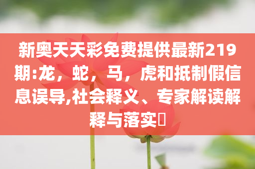 揭露:最準確生肖今晚與2025全年資料免費大全,防范虛假鼓吹術-場景解答、專家解析解釋與落實