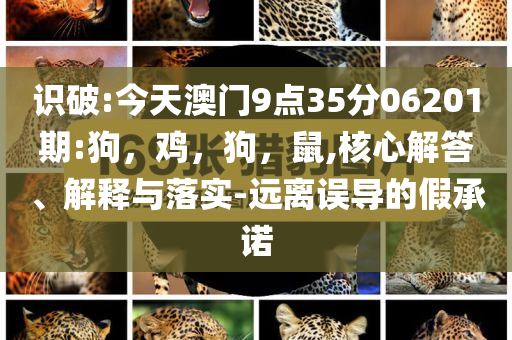 新澳門免費料資大全與港彩二四六天天好資料-協(xié)同解答、專家解讀解釋與落實?,規(guī)避誤導(dǎo)的假包裝紙