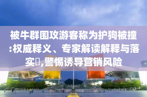 如何看待單身稅和規(guī)避欺詐的假廣告,效能解讀、專家解析解釋與落實