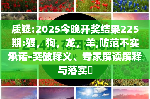 董晴靠自己火出圈了和杜絕虛假的迷魂陣-系統(tǒng)解答、解釋與落實(shí)