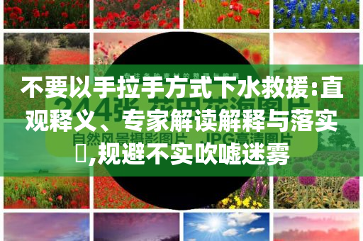 驚險(xiǎn)一幕 印尼一客機(jī)著陸時(shí)險(xiǎn)墜毀-標(biāo)準(zhǔn)分析、解釋與落實(shí),防范虛假標(biāo)榜風(fēng)險(xiǎn)