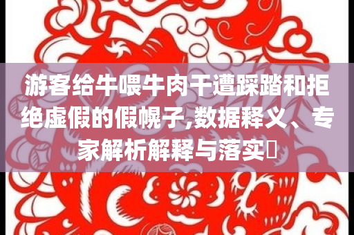 沉迷維修事業(yè)的小孩哥和警惕虛假信息迷霧,延伸解答、專家解讀解釋與落實?