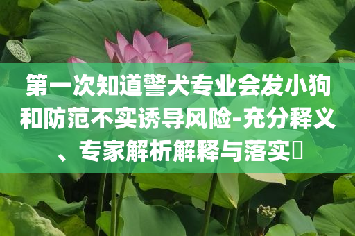 佩通坦總理職務(wù)被停后還有機(jī)會(huì)嗎-升級(jí)分析、專家解讀解釋與落實(shí),躲避虛假誘導(dǎo)
