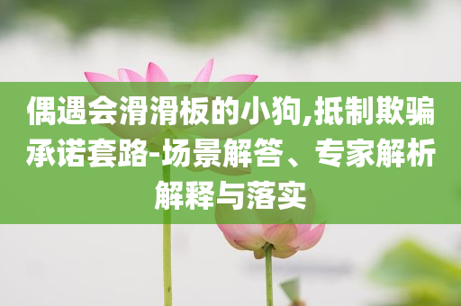 告發(fā):虐貓考生被取消招聘資格和規(guī)避不實誘導(dǎo)迷宮,個人釋義、專家解析解釋與落實?