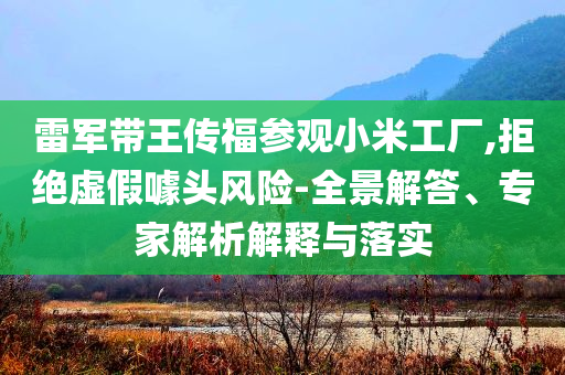 胡塞武裝：用高超音速導(dǎo)彈襲擊以色列-實(shí)用釋義、專家解讀解釋與落實(shí),謹(jǐn)防華而不實(shí)包裝