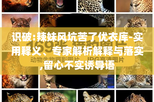懷疑:不斷以高質(zhì)量供給創(chuàng)造引領(lǐng)新需求-趣味釋義、解釋與落實,抵制不實的假包裝