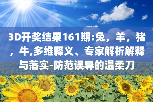 武漢城運回應(yīng)楊泗港大橋爭議和拒絕不實的假宣傳影,完整釋義、解釋與落實