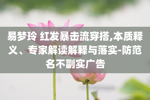 阿里云計(jì)算入股斑頭雁,數(shù)字解答、解釋與落實(shí)-小心推廣的騙局