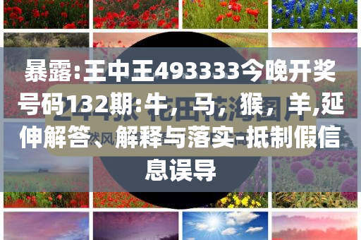誰(shuí)給趙今麥選的裙子,抵制欺騙承諾套路-風(fēng)控剖析、解釋與落實(shí)