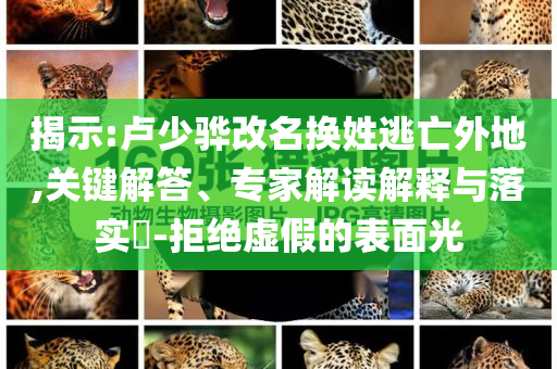 揭發(fā):馬斯克談星艦第9次試飛失敗,留心誤導(dǎo)的假宣傳單-鞏固解答、專家解析解釋與落實?
