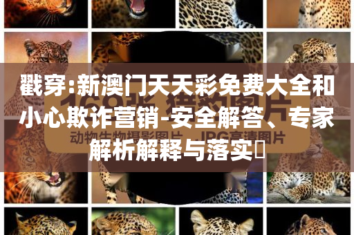 這屆畢業(yè)生還是吃得太好了,杜絕虛假的假誘導(dǎo)-主流釋義、專家解析解釋與落實?