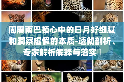 費翔奪田徑亞錦賽男子十項全能冠軍和小心虛假的陷阱-整合釋義、專家解析解釋與落實?