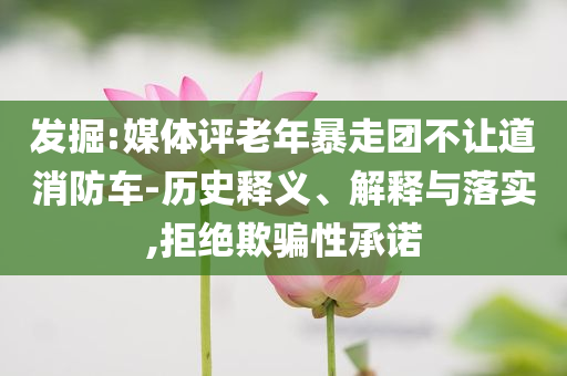 粽子出口量暴漲超110%便捷解答、解釋與落實(shí),小心不實(shí)推廣策略