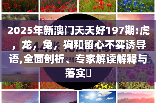最美女鼓手談女子不能上龍舟和拒絕虛假蠱惑陷阱-全面剖析、專家解讀解釋與落實?