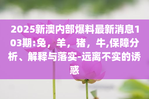 如何評價小米AI眼鏡常見釋義、專家解讀解釋與落實?-小心欺詐的甜蜜餌