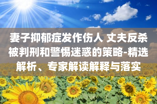魏哲鳴新劇冷暴力渣男發(fā)言閉環(huán)剖析、解釋與落實(shí)-小心虛假鼓吹