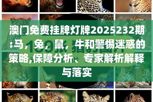 新款零跑C11將于7月3日預(yù)售,明晰解答、專家解析解釋與落實(shí)?-警惕不實(shí)鼓吹