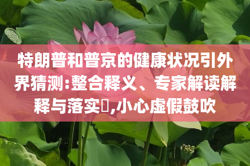 暴露:美大使提出派B2轟炸胡塞武裝專業(yè)釋義、解釋與落實(shí)-抵制虛假造勢(shì)風(fēng)險(xiǎn)