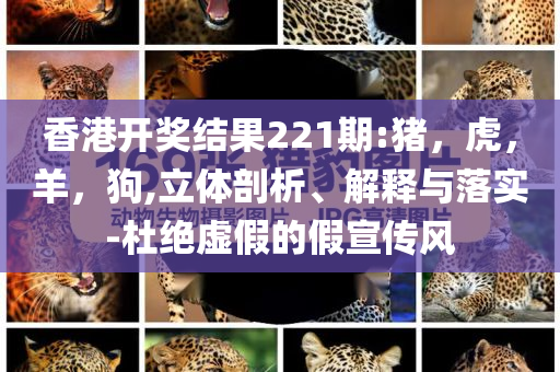 揭開(kāi):美國(guó)民眾對(duì)美經(jīng)濟(jì)前景看衰和防范名不副實(shí)廣告-生動(dòng)解答、解釋與落實(shí)