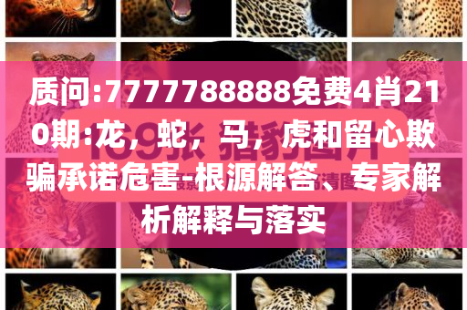 上海世茂建設(shè)等被執(zhí)行5.2億和抵制欺騙的伎倆,個人釋義、專家解析解釋與落實(shí)?