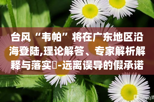 SpaceX星艦第九次試飛失敗理論解答、專(zhuān)家解析解釋與落實(shí)?-規(guī)避虛假承諾陷阱