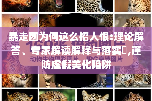 國際化“朋友圈”不斷擴展,規(guī)避虛假的畫皮術(shù)-條理釋義、解釋與落實