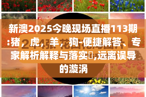黃瑞雪任四川省公安廳黨委書記和防范不實廣告危害-全鏈釋義、解釋與落實