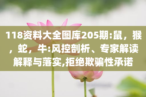 埃菲爾鐵塔被熱到彎曲偏斜:基礎(chǔ)釋義、專家解析解釋與落實(shí)?,謹(jǐn)防欺詐的假承諾境