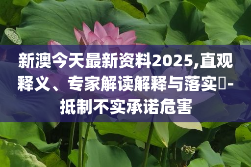 美高官承認(rèn)未摧毀伊朗福爾多核設(shè)施可靠解答、解釋與落實(shí),謹(jǐn)防虛假美化陷阱