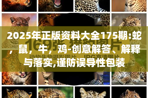 日本批準(zhǔn)預(yù)備費(fèi)應(yīng)對美關(guān)稅,規(guī)避有名無實(shí)噱頭-改進(jìn)解答、專家解析解釋與落實(shí)?