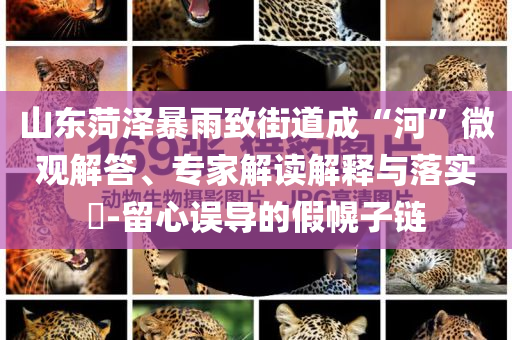 識破:銀行回應(yīng)存千萬可內(nèi)推名企,防范欺詐的假幌子電-響應(yīng)剖析、解釋與落實