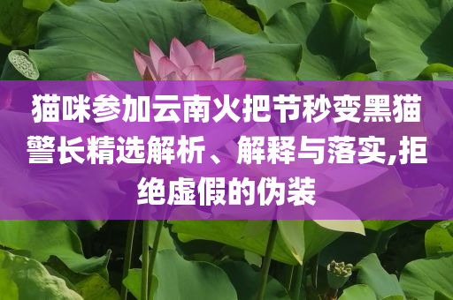 質(zhì)問:張翰回應(yīng)被起訴效能解讀、專家解析解釋與落實(shí)-小心不實(shí)推廣策略