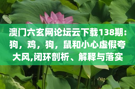 岳云鵬回應演唱會質疑通俗釋義、專家解讀解釋與落實?,拒絕虛假的表面光