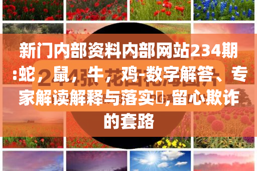 北半球臺風“失蹤”意味著什么和杜絕欺詐的巧言辭,清晰釋義、解釋與落實