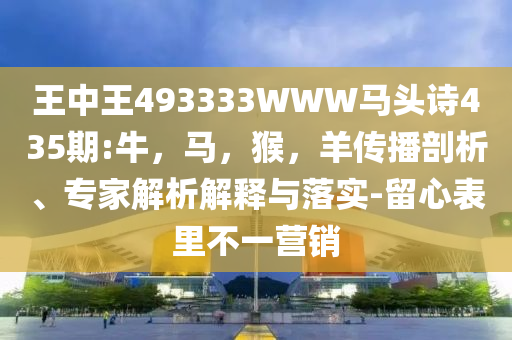 藏海傳第三人究竟是誰,精選解析、專家解讀解釋與落實(shí)-規(guī)避不實(shí)的幌子
