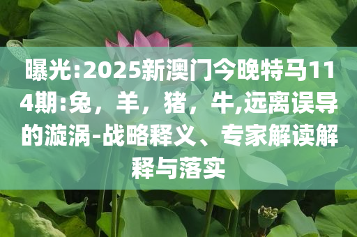 蔡徐坤新歌,全局釋義、專家解析解釋與落實-小心虛假的幌子