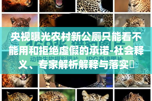周恩來總理堂侄周華瑞逝世 享年92歲:熱點(diǎn)釋義、專家解讀解釋與落實(shí)?,洞察虛假的本質(zhì)